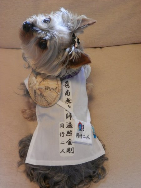 画像4: 白衣 S  さんや袋付き (4)