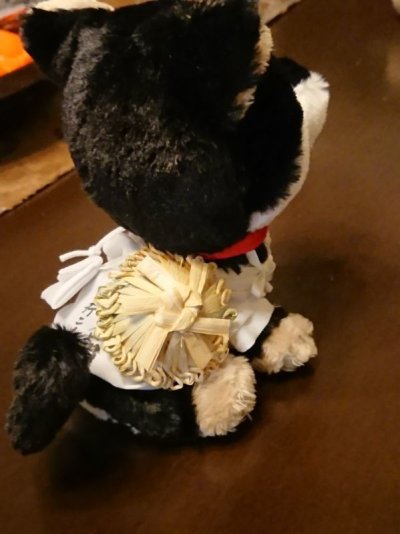 画像3: 豆笠 文字