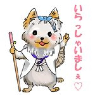 画像2: 白衣 S  さんや袋付き